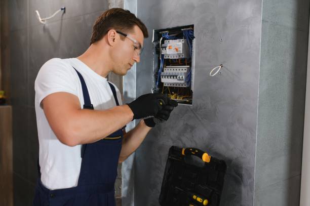 Best Electrical Wiring Services  in Olivet, MI
