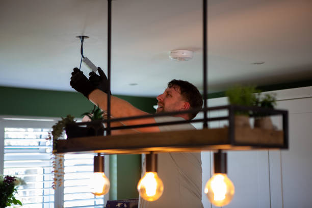 Best Electrician for Home Renovation  in Olivet, MI