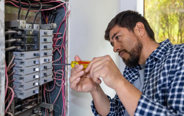Best Electrical Rewiring Services  in Olivet, MI